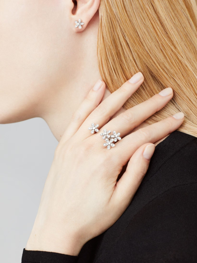 Socrate Between the Finger Ring (White Gold, Diamond)