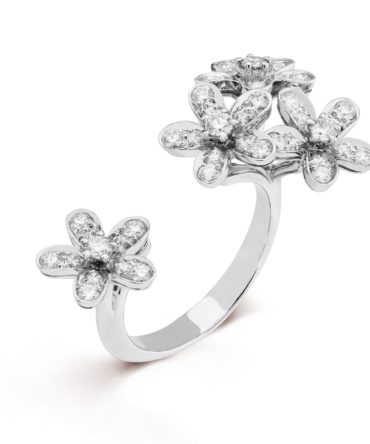 Socrate Between the Finger Ring (White Gold, Diamond)